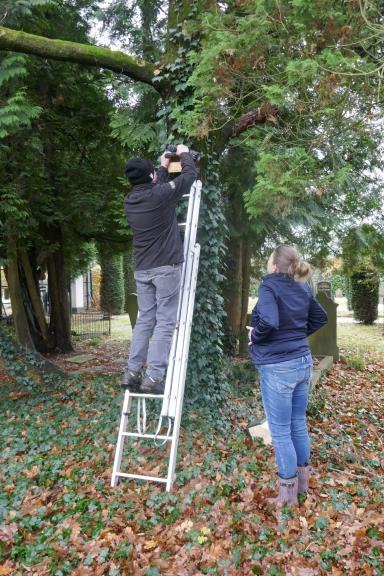 Afbeelding bij verslag